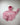 D.P.A Collection Series - Venom Pink - GolVision